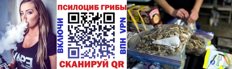 Галлюциногенные грибы Psilocybine cubensis  Лодейное Поле 